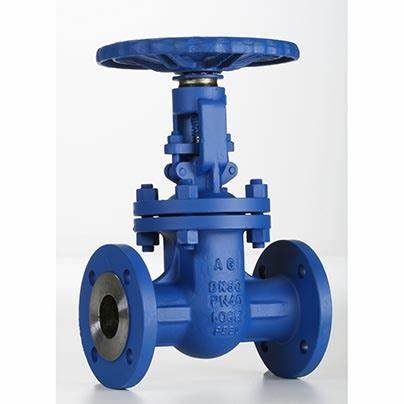 供應意大利Valvosider閥門、過濾器